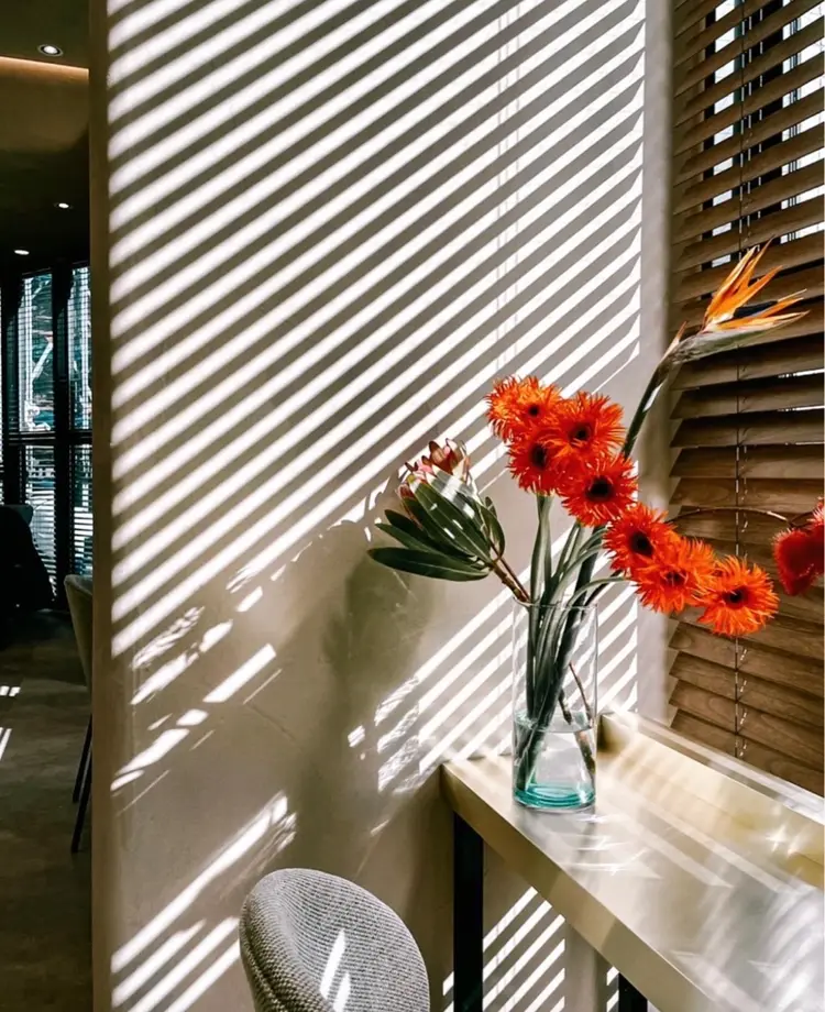 1HAVANAの内観・外観2