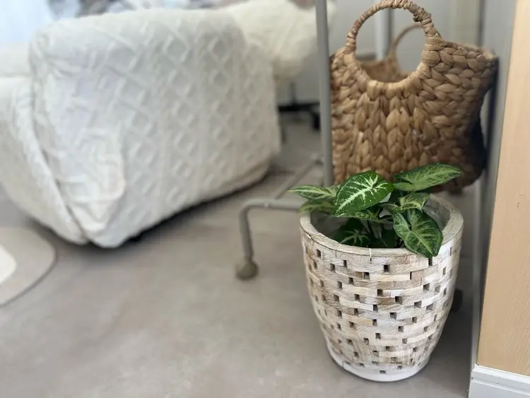 eyelash salon Natureの内観・外観2