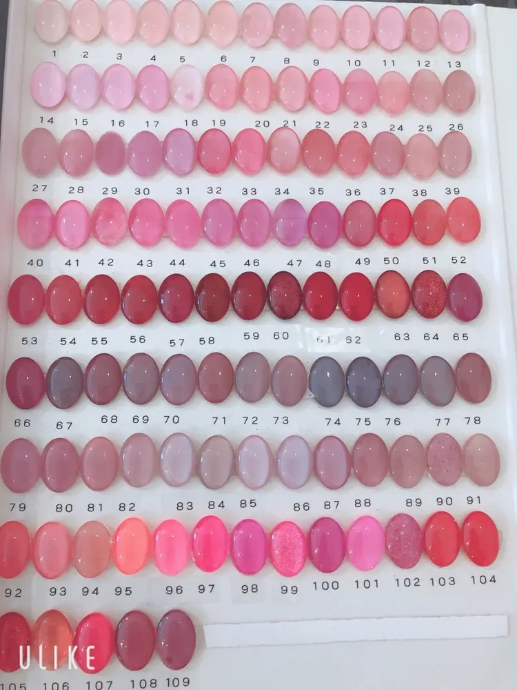 グレースレディの内観・外観2