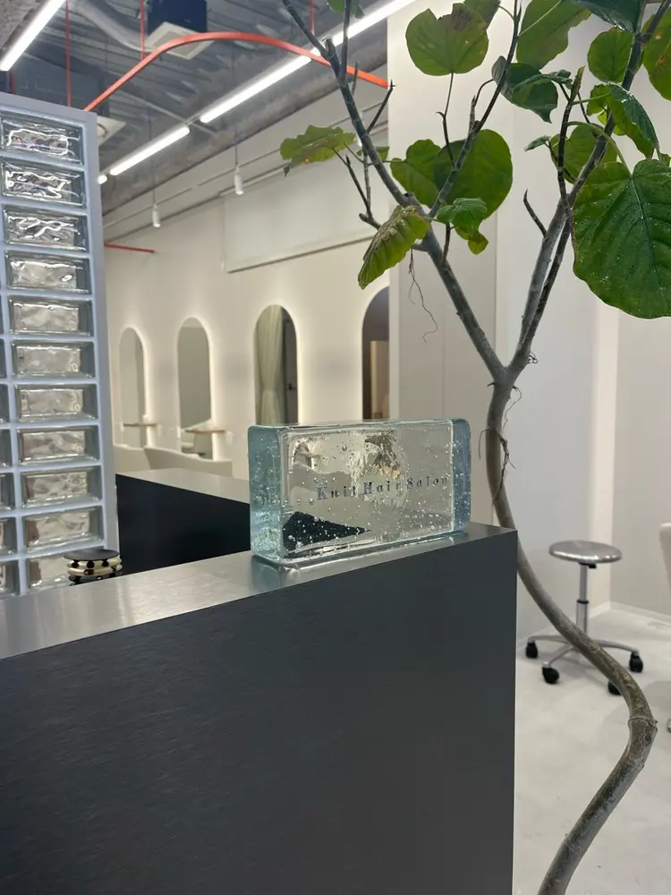 knitの内観・外観3