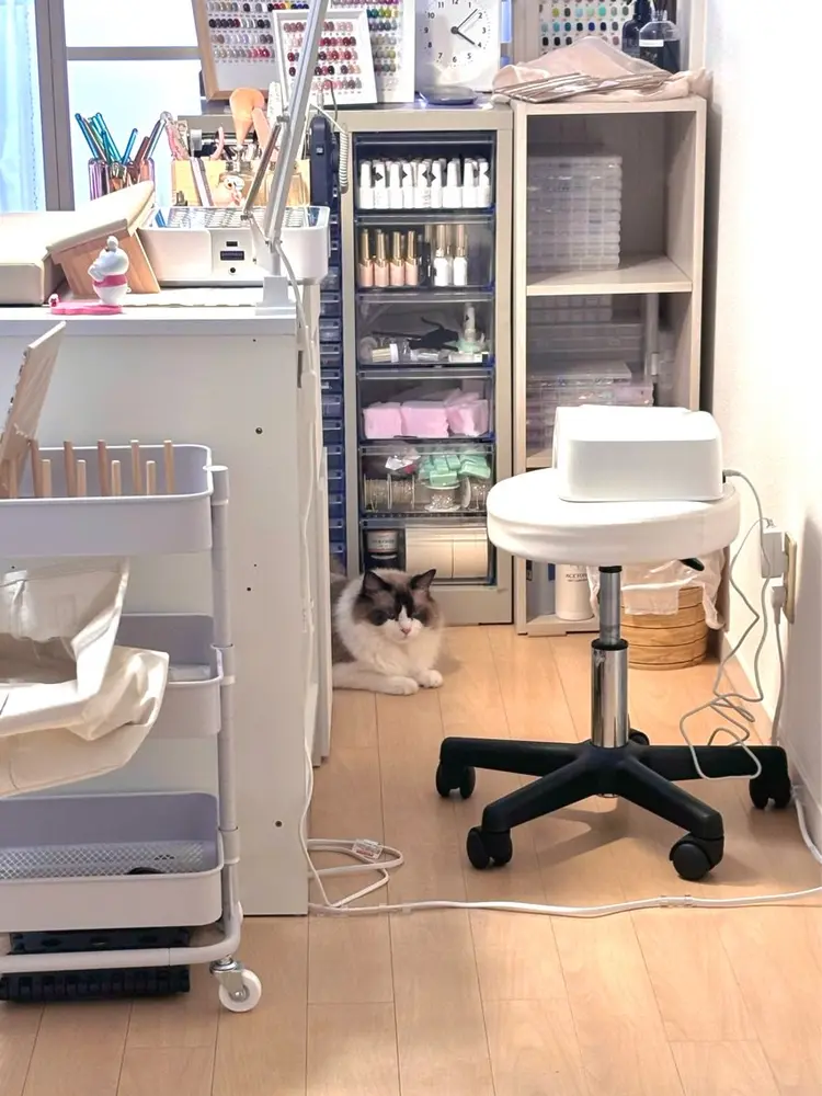 mirei‘nailの内観・外観1