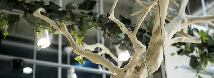 AMILIの内観・外観3