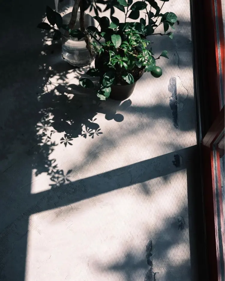 cope'u FALBEの内観・外観3