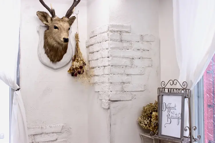 Theday 4HAIRの内観・外観3