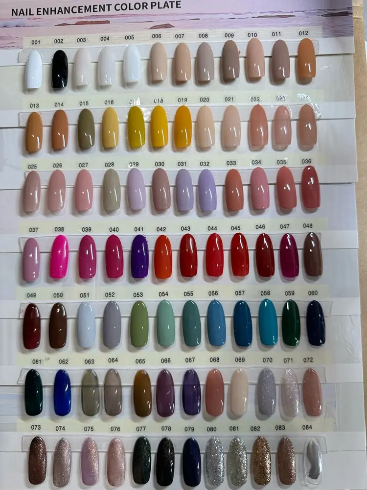 ミドリの内観・外観2