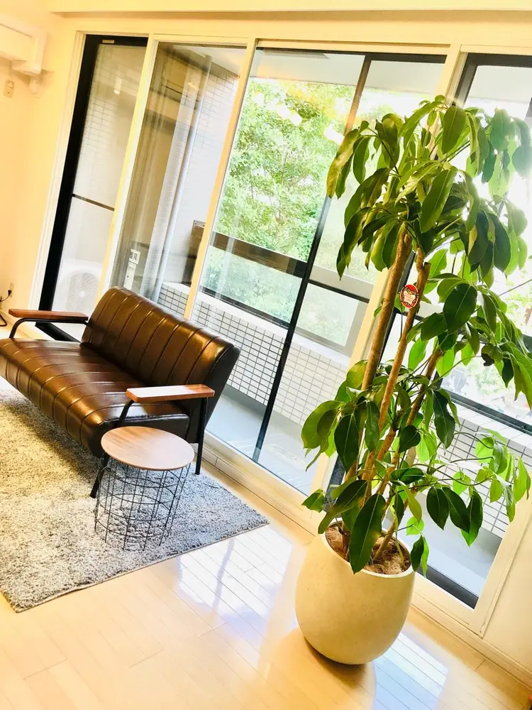 脱毛サロンWillowの内観・外観1