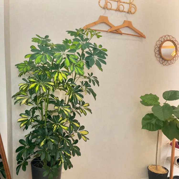 Eru eyelash&eyebrowの内観・外観2