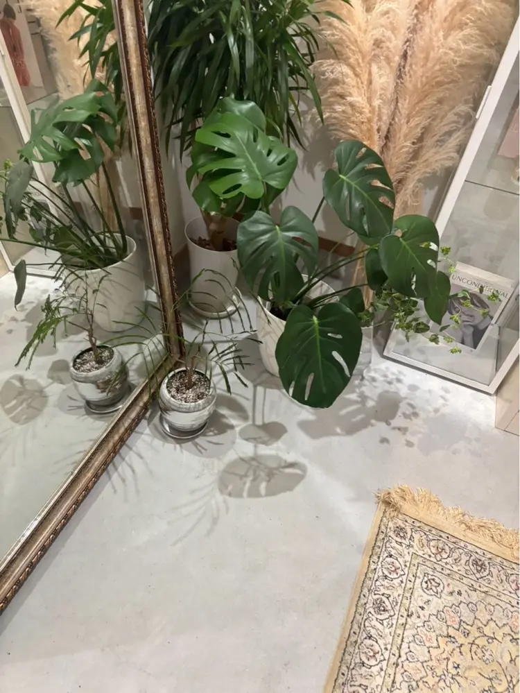 爪塗装noaの内観・外観3