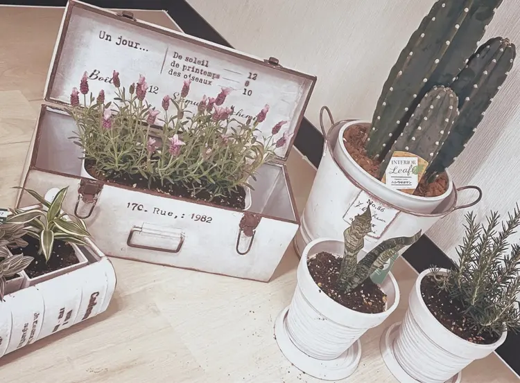 lauleaの内観・外観3