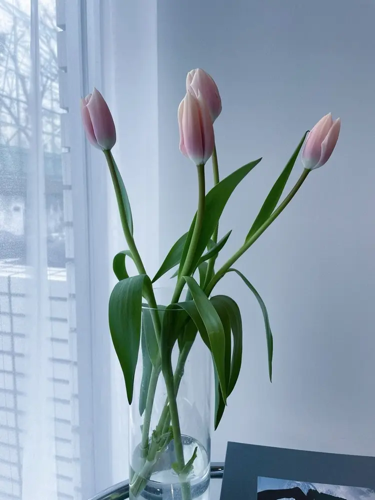 BONDの内観・外観2