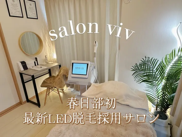 vivの内観・外観1