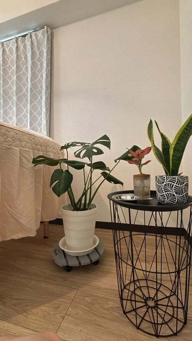 メンズ脱毛サロン　SHINKAの内観・外観2