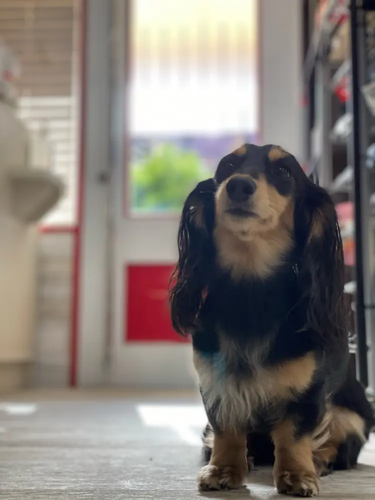 "PEPPU "の内観・外観3