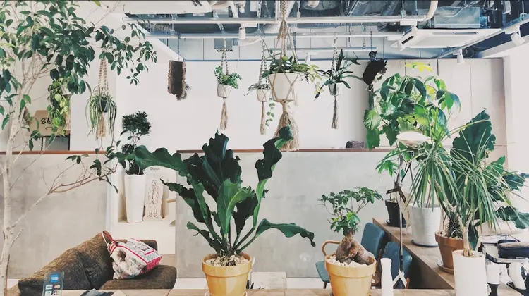 KIKKAKEの内観・外観1