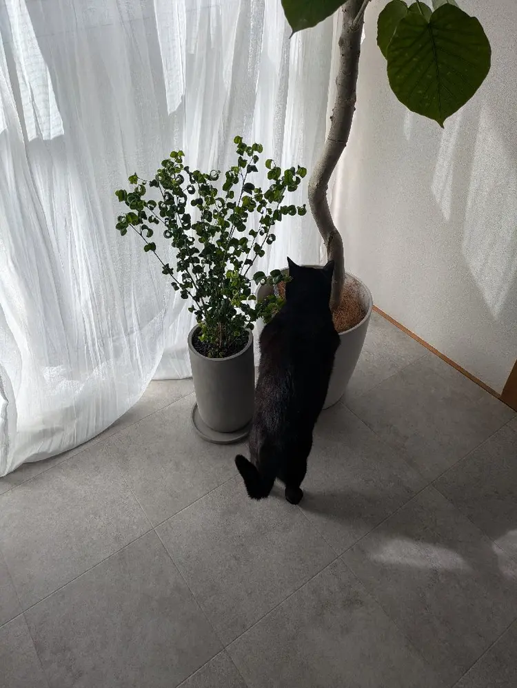 Salon de Kireiの内観・外観3