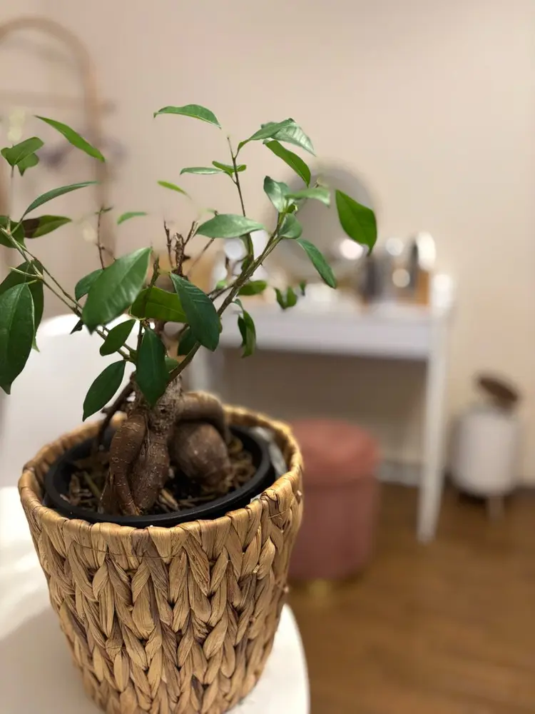 毛穴専門店　dear Ct.の内観・外観3