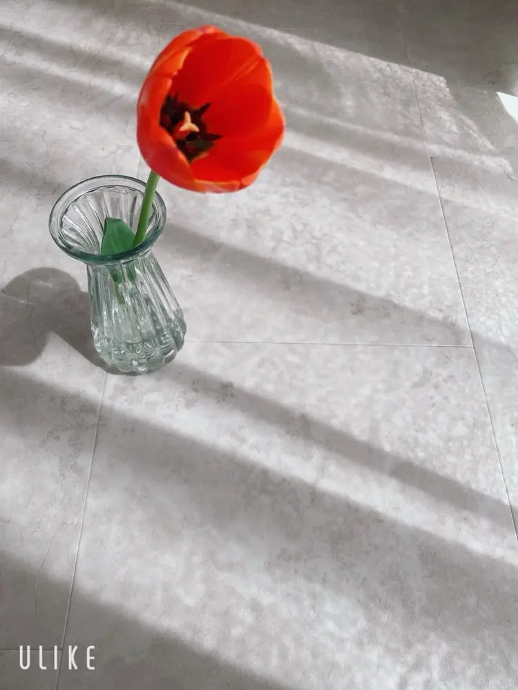 ON°の内観・外観3