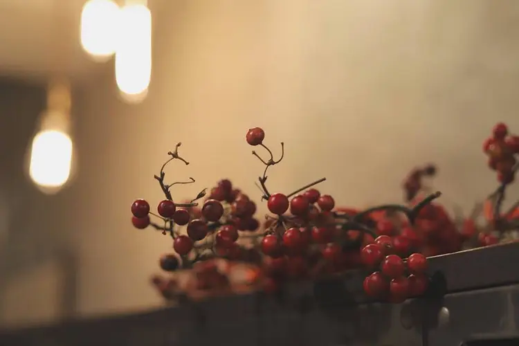 nicheの内観・外観2