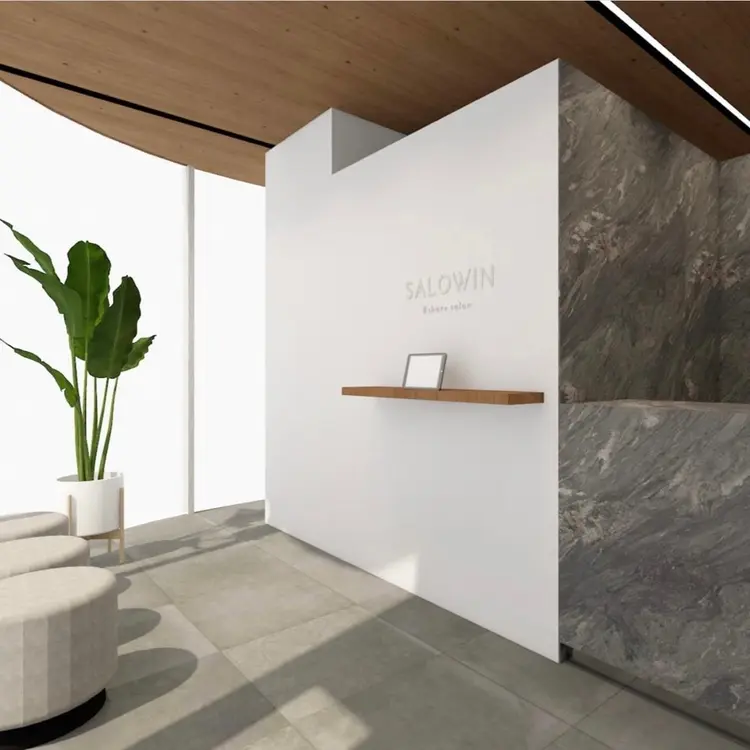 SALOWIN銀座RAYの内観・外観1