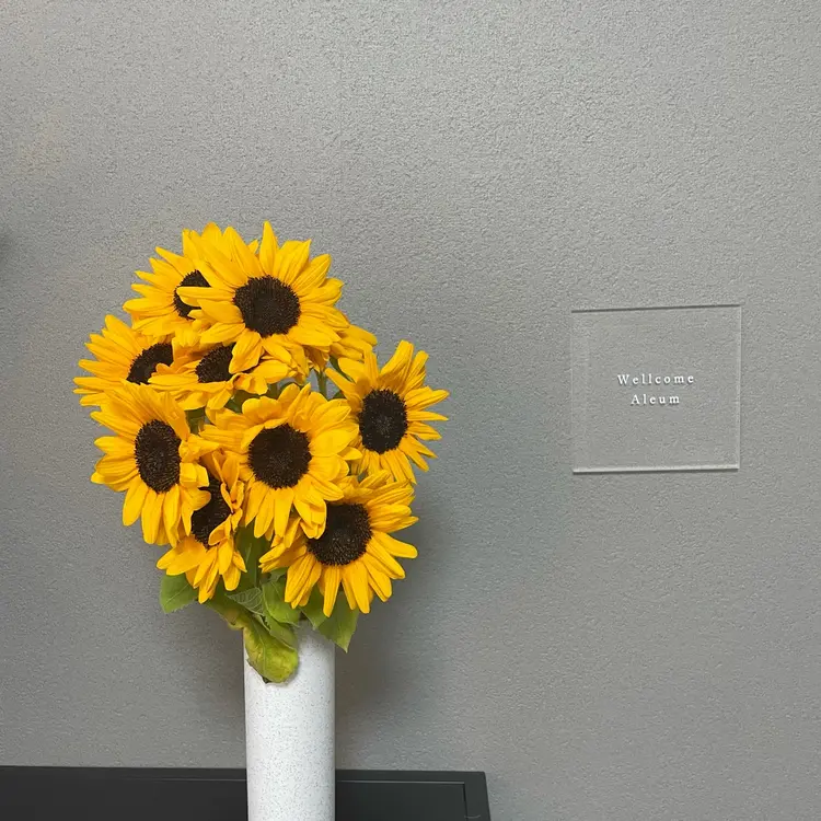 Aleumの内観・外観3