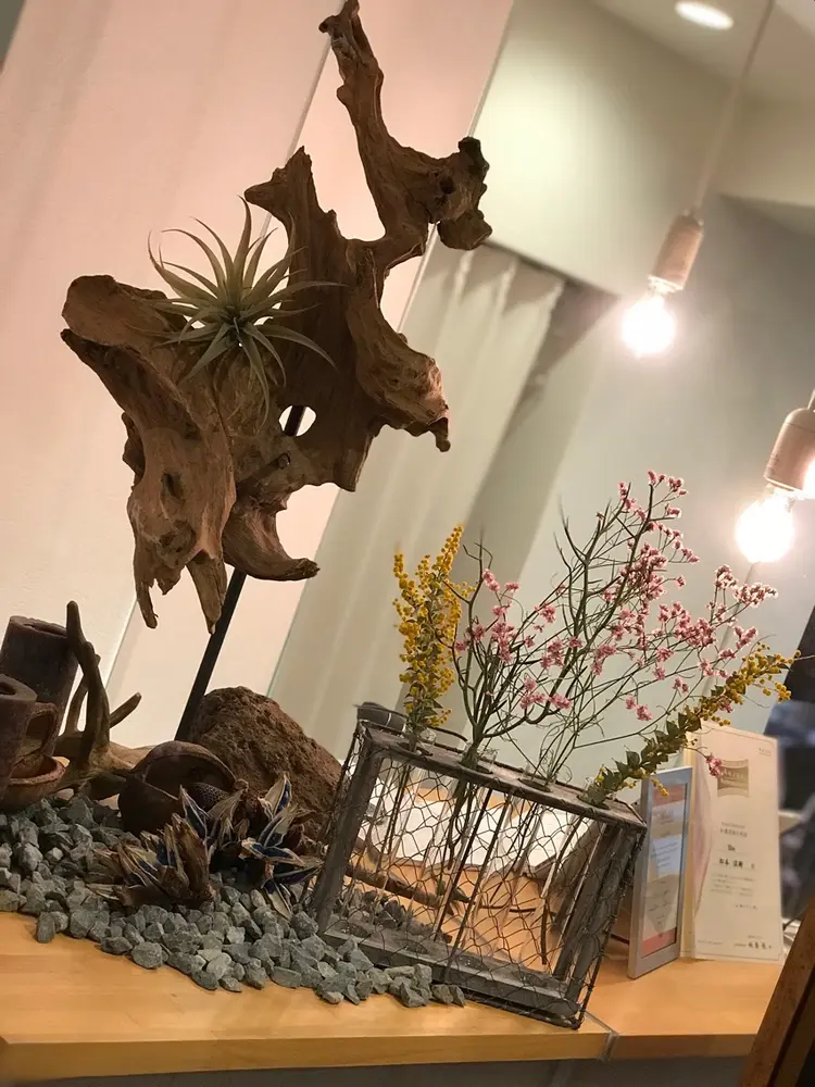 Elsaの内観・外観1