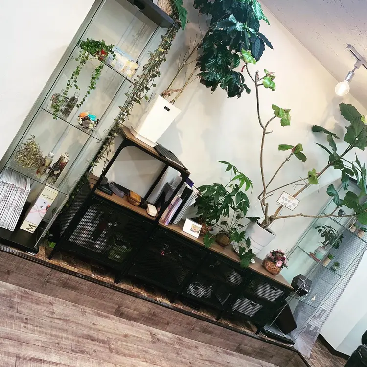 ajugaの内観・外観3