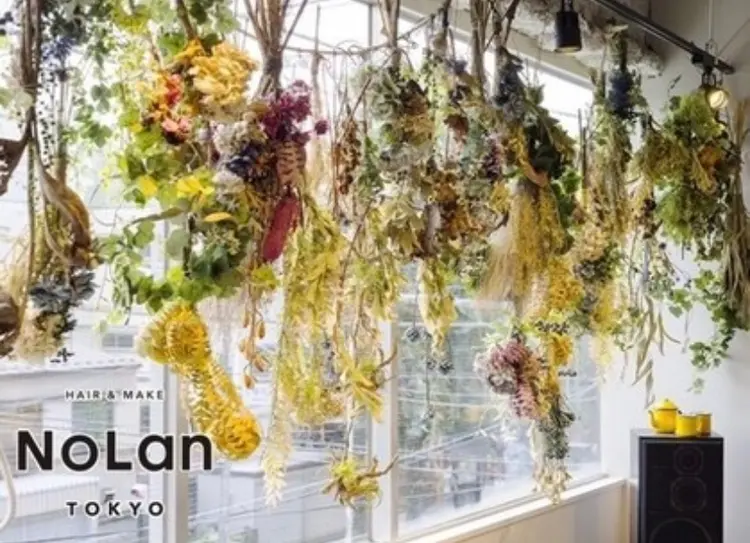 NoLanの内観・外観1