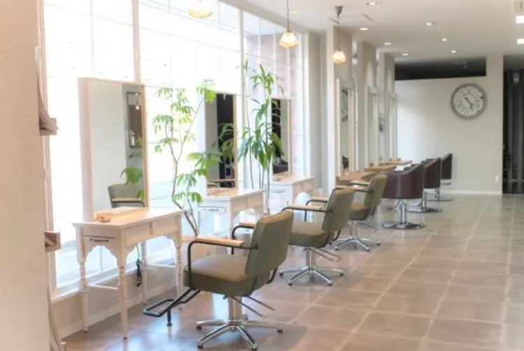 LUCIDO STYLE Orgaの内観・外観2