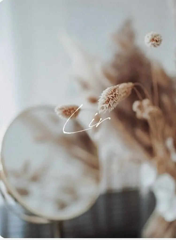 miel  博多の内観・外観1