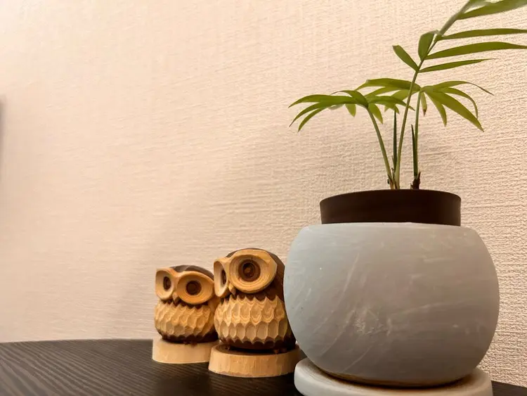 icoiの内観・外観2