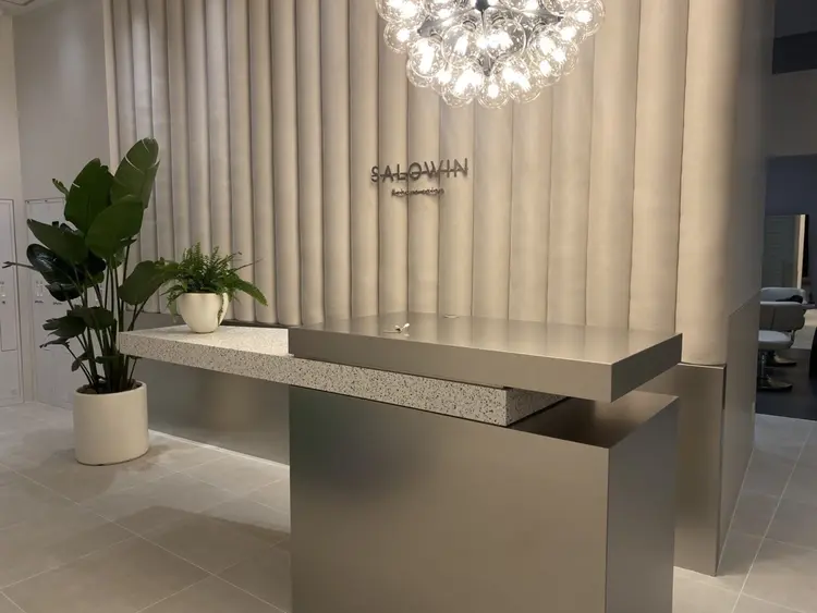 SALOWIN    銀座RAY 2の内観・外観1