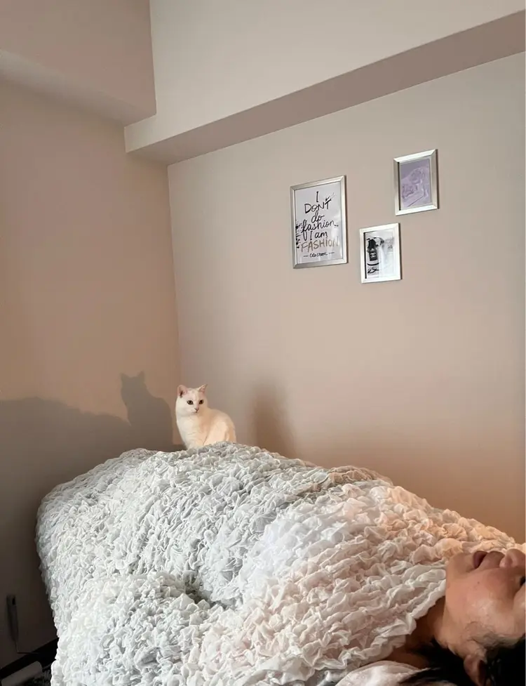 KilaKilaの内観・外観3