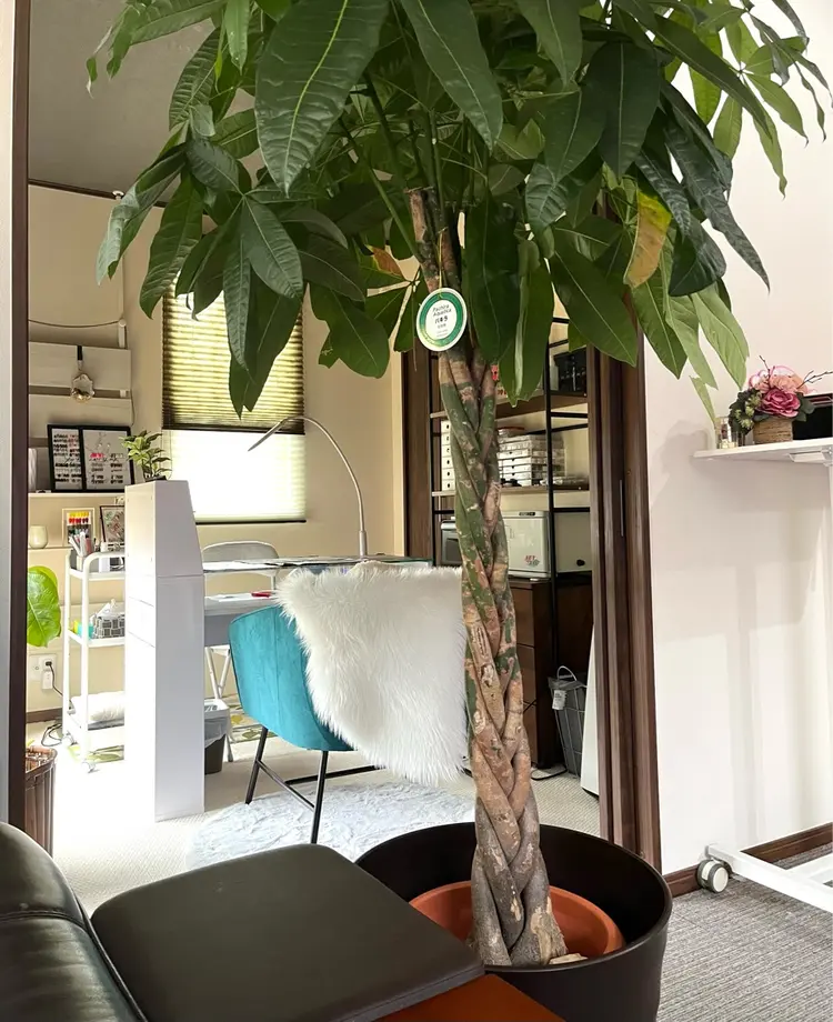 2dyの内観・外観1