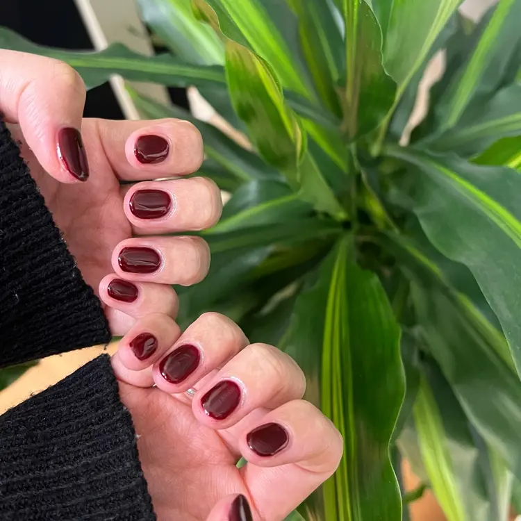 CanIDressy練馬店の内観・外観1