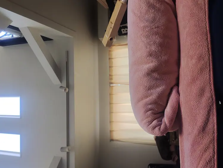 癒し空間もふもふの内観・外観3