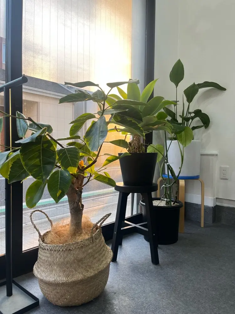 Raugh by Apri Lushの内観・外観3