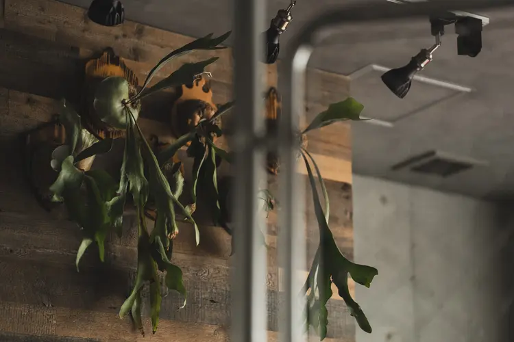 999【すりーないん】の内観・外観3