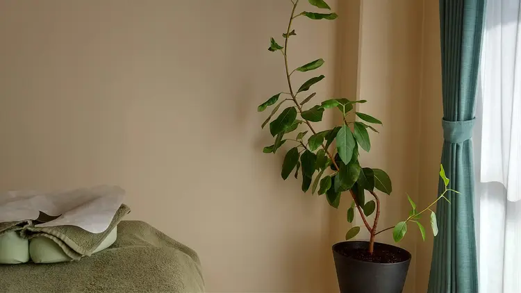 QOMはり・きゅう院の内観・外観1