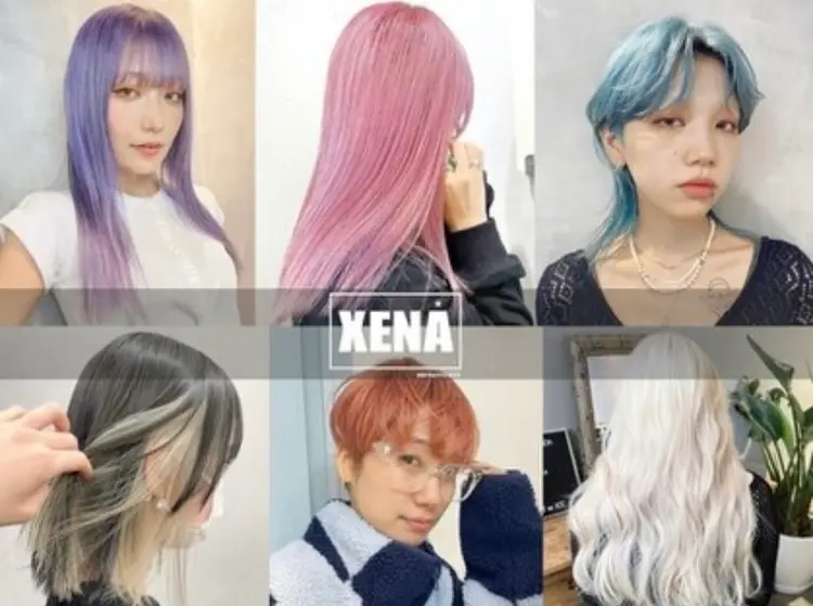 XENA 渋谷本店の内観・外観2