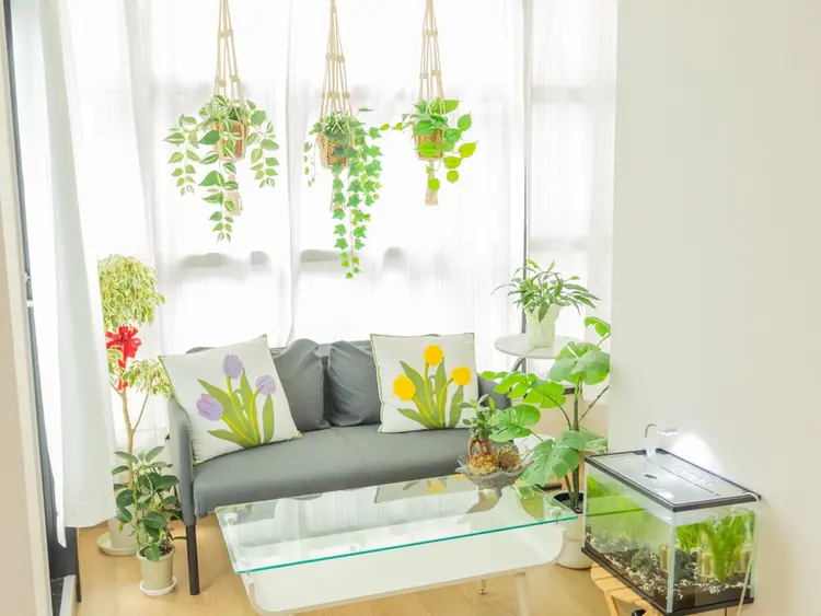 Chanie Nail Spaの内観・外観3