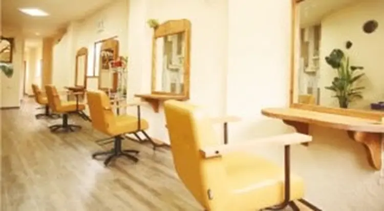 Primo Cuckの内観・外観2