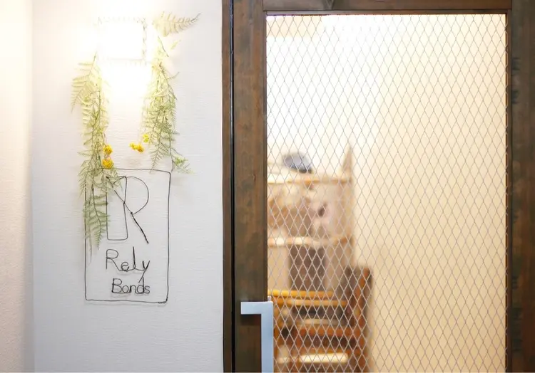 Rely Bondsの内観・外観2