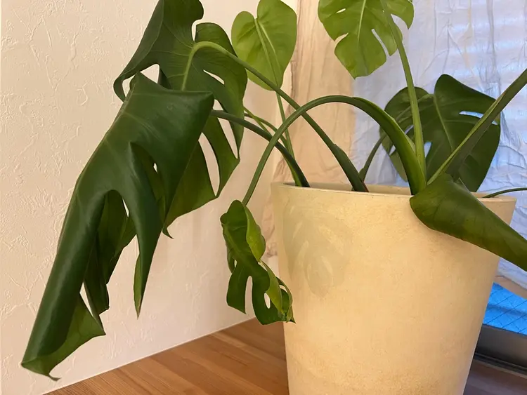 salon amb'Mの内観・外観2