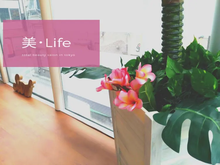 美Lifeの画像