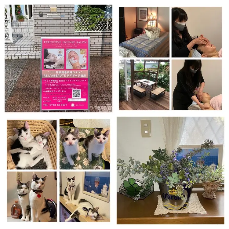 RE:BIRTH〜リバース〜の画像