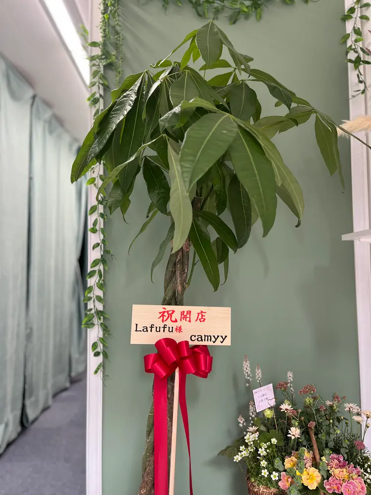 温熱デトックスサロンlafufu(らふふ)の内観・外観2