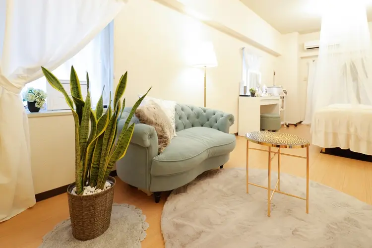 サロンドフェリテの内観・外観1