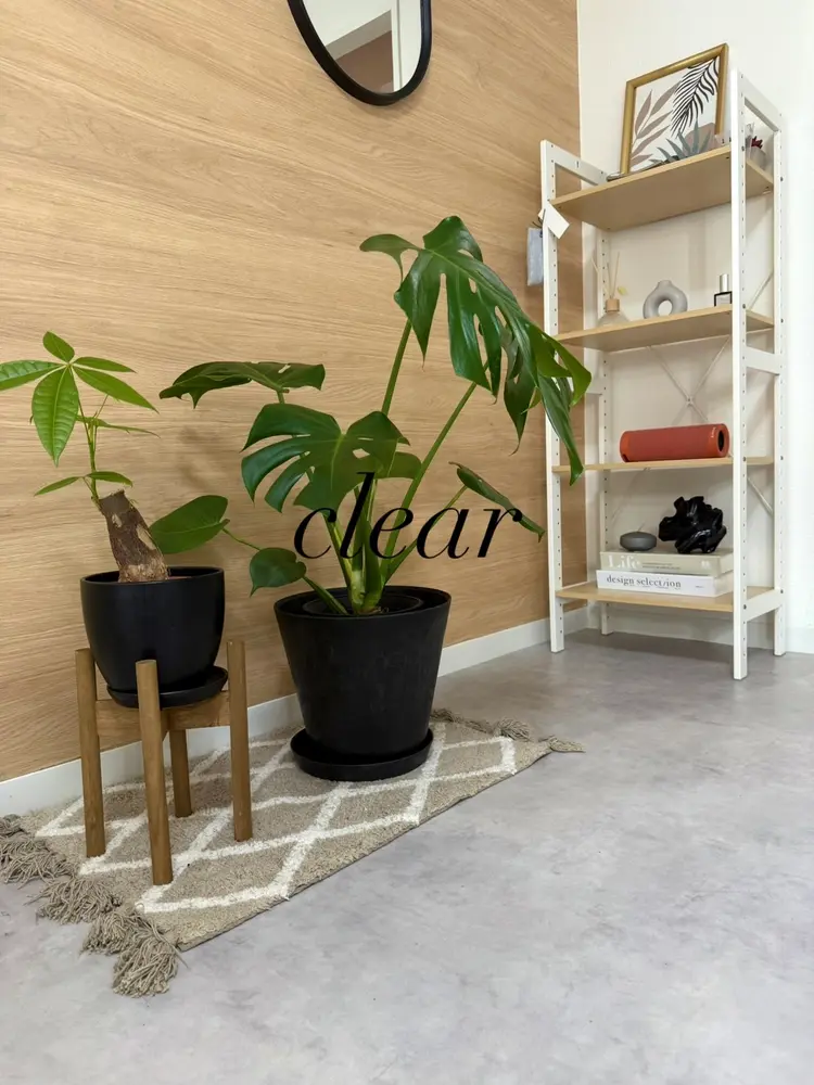 eyelash salon clearの内観・外観2