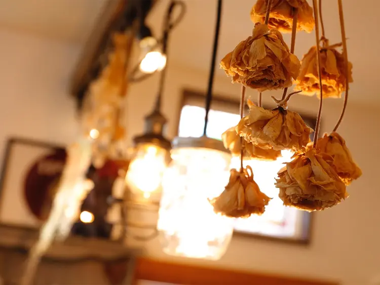 mu-t organic color & treatment salonの内観・外観3