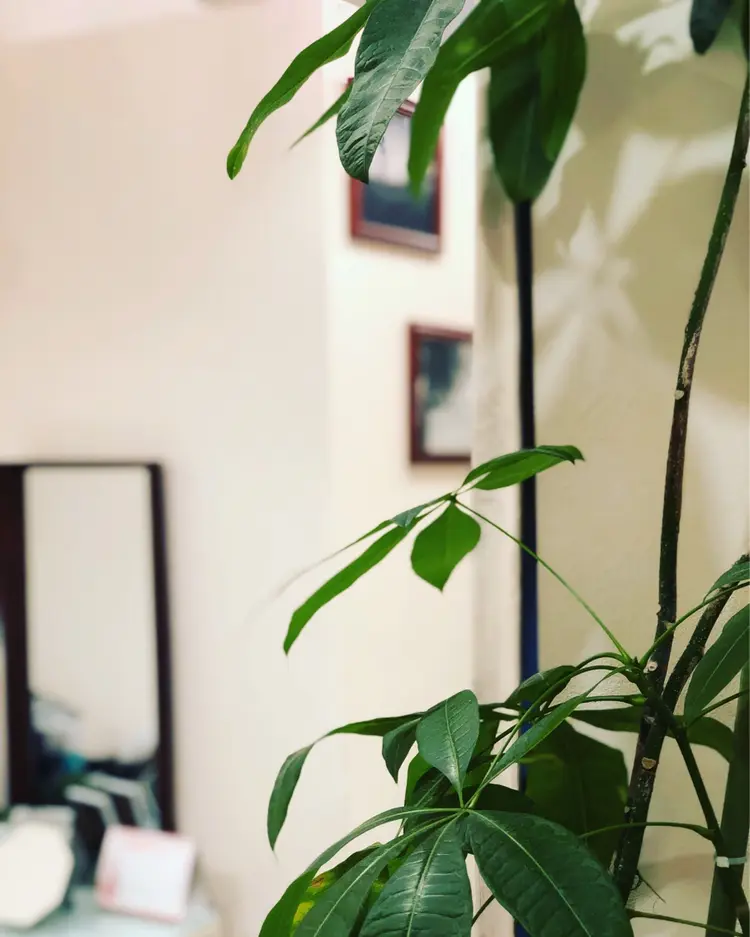 MIRAC脱毛サロンの内観・外観1